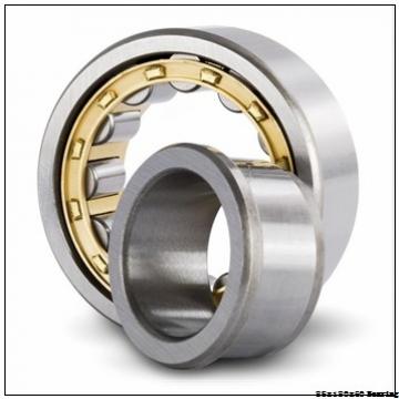 ZSL192317 full complement Cylindrical roller bearing 85X180X60