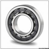 85x180x60 Spherical roller bearings 22317CCK/W33 153617