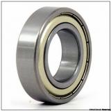 C3 clearance 6004 full ball no cage motor bearing 20x42x12