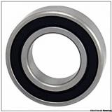 45 mm x 75 mm x 16 mm  6009 skf bearing size 45x75x16 skf bearing 6009-2RS1 deep groove ball bearing