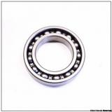 45x75x16 mm Cylindrical parallel Roller Bearing NUP 1009